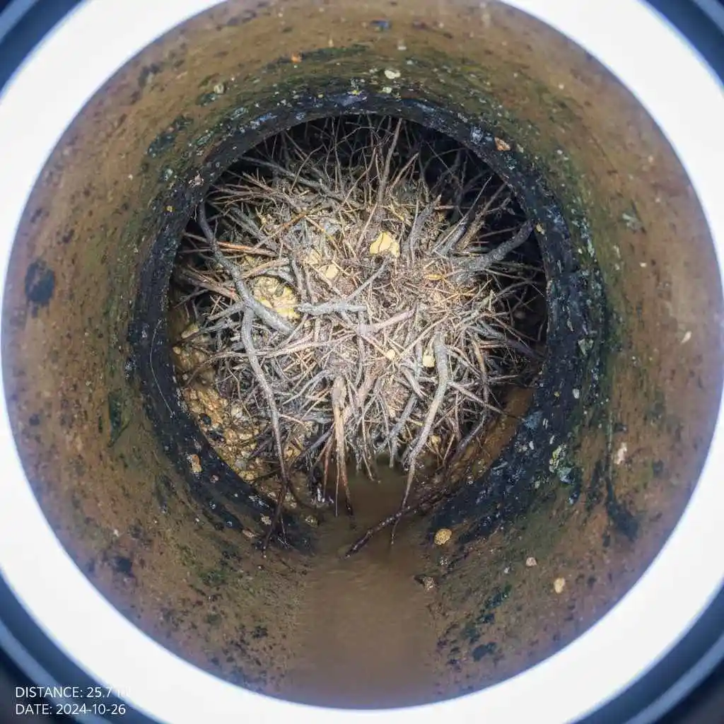 sewer camera showing roots inside pipe before hydro jetting