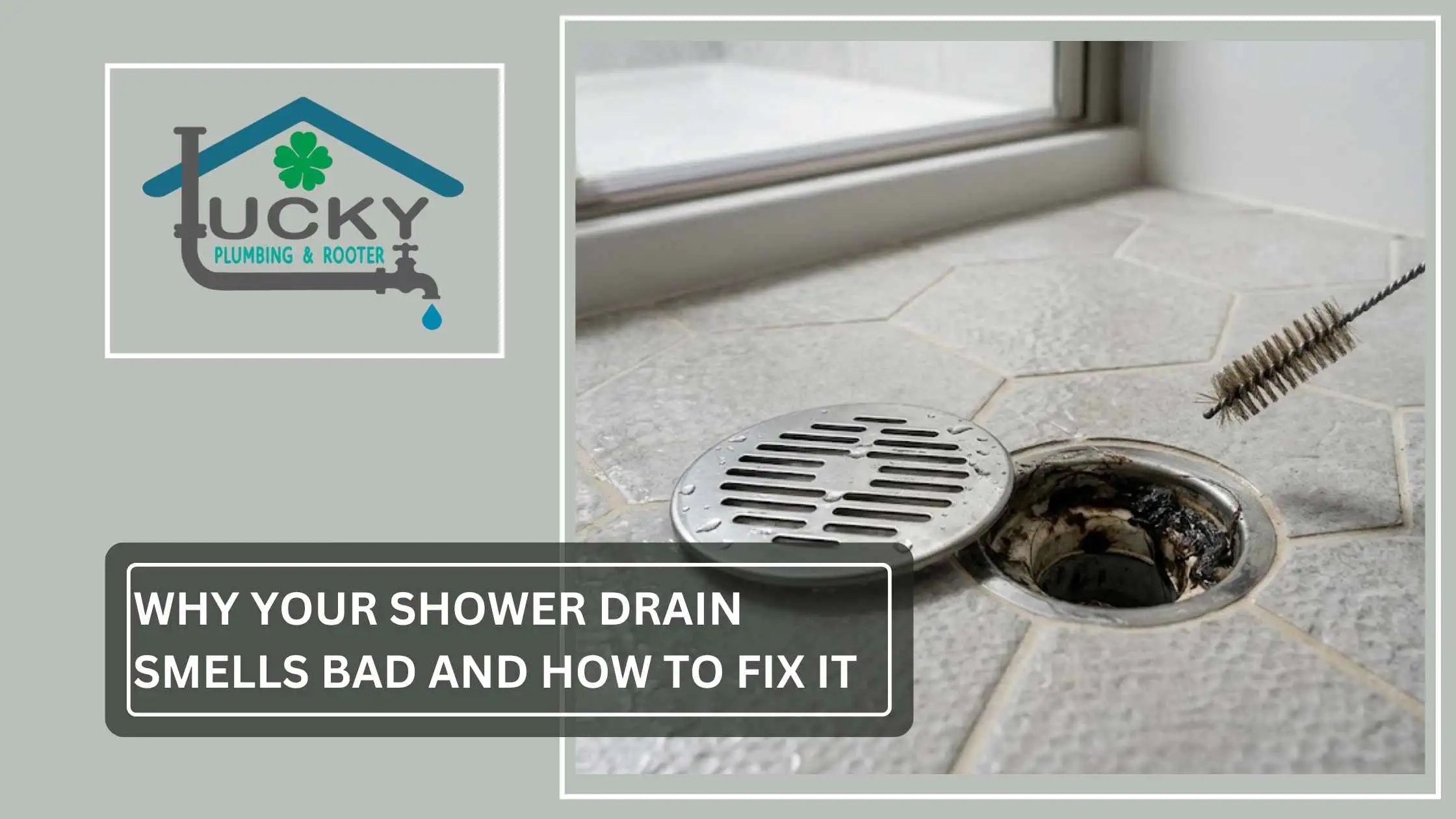 Why Your Shower Drain Smells Bad and How to Fix It