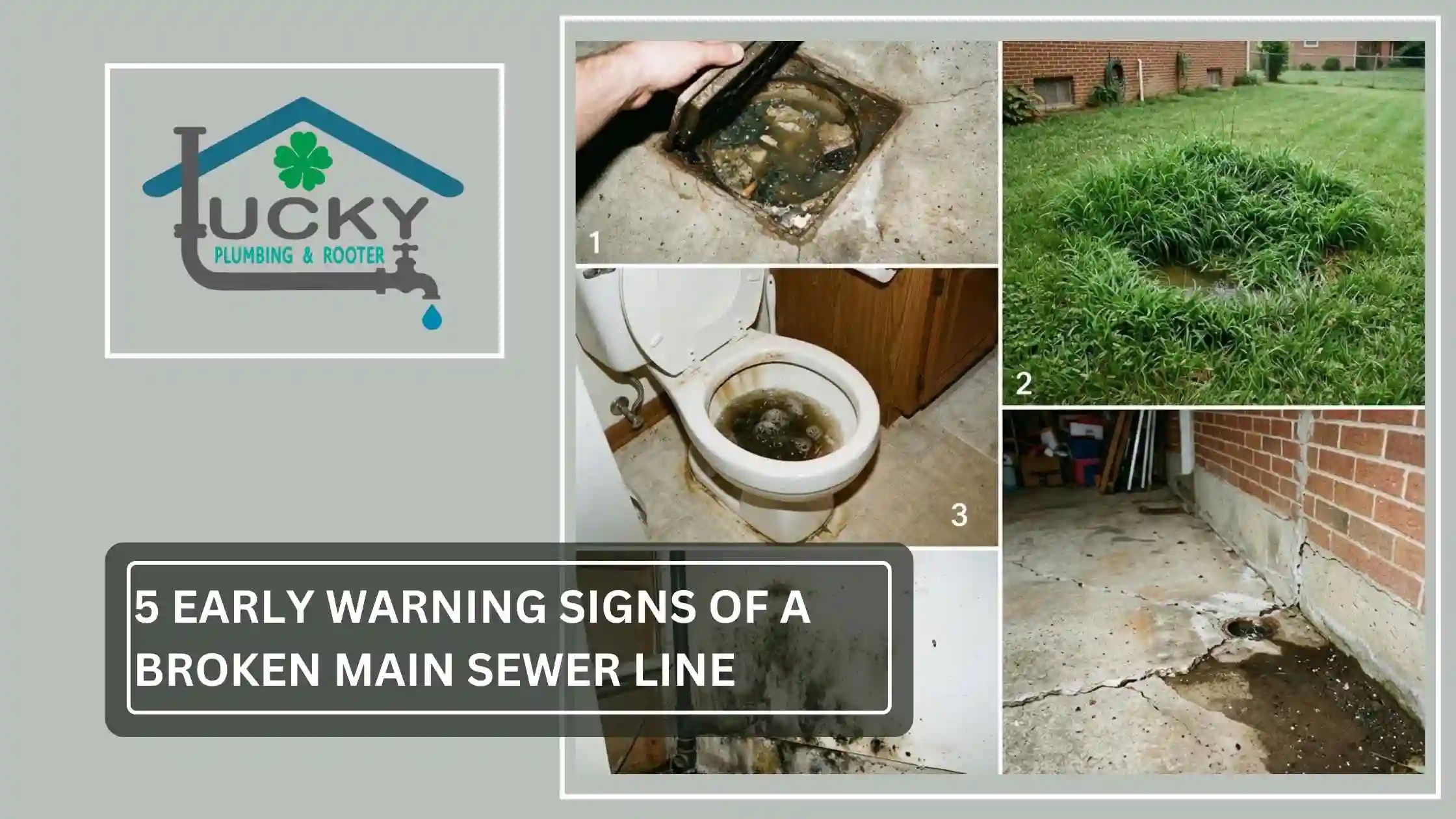5 Early Warning Signs of a Broken Main Sewer Line